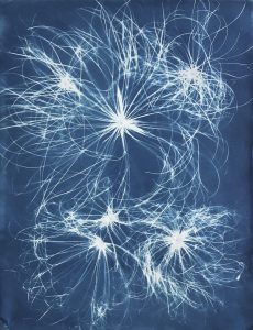 Laurie Snyder  • <em>Papyrus 2020</em> • Cyanotype • 24“×29“ • $700.00<a class="purchase" href="https://state-of-the-art-gallery.square.site/product/laurie-snyder-papyrus-2020/360" target="_blank">Buy</a>