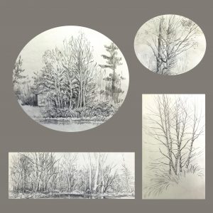 Frances Fawcett • <em>Tree Sketches 2</em> • Graphite pencil on paper • 12“×12“ • NFS