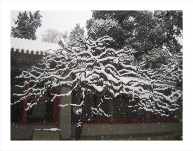 Daniel McPheeters • <em>Garden, Forbidden City</em> • Archival pigment print • 20“×16“ • $120.00