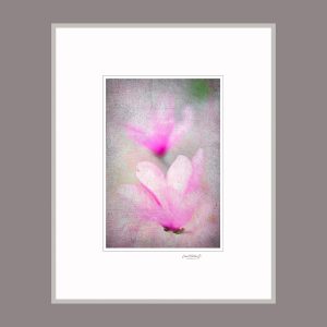 David Watkins Jr • <em>Magnolia Fantasy</em> • Archival pigment print • 16“×20“ • $175.00