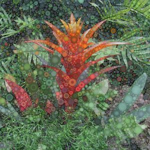Daniel McPheeters • <em>Red Bromeliad</em> • Mixed media on panel • 12“×12“ • $50.00<a class="purchase" href="https://state-of-the-art-gallery.square.site/product/daniel-mcpheeters-red-bromeliad/570" target="_blank">Buy</a>
