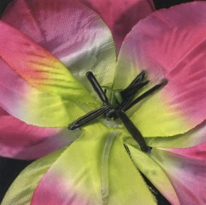 Stan Bowman • <em>Silk Flower</em> • Paper print on foam core  • 8“×10“ • $35.00<a class="purchase" href="https://state-of-the-art-gallery.square.site/product/stan-bowman-silk-flower/563" target="_blank">Buy</a>