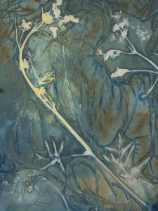 Christine Chin • <em>Invasive Species Cyanotypes: Wild Parsnip (Pastinaca sativa)</em> • Cyanotype photogram • 9“×11“ • $50.00<a class="purchase" href="https://state-of-the-art-gallery.square.site/product/christine-chin-invasive-species-cyanotypes-wild-parsnip-pastinaca-sativa-/589" target="_blank">Buy</a>