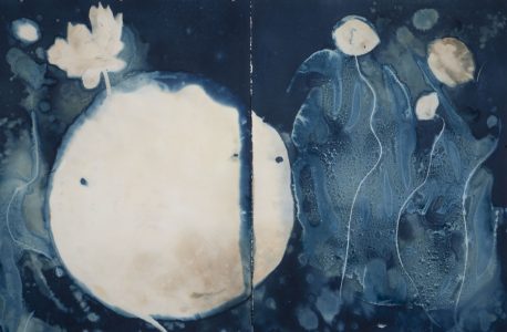 Christine Chin • <em>Invasive Species Cyanotypes: American Lotus: Nelumbo lutea</em> • Cyanotype photogram • 44“×30“ • $750.00<span class="sold"></span>