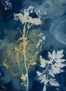Christine Chin • <em>Invasive Species Cyanotypes: Wild Parsnip (Pastinaca sativa)</em> • Cyanotype photogram • 11“×15“ • $70.00<a class="purchase" href="https://state-of-the-art-gallery.square.site/product/christine-chin-invasive-species-cyanotypes-wild-parsnip-pastinaca-sativa-/593" target="_blank">Buy</a>